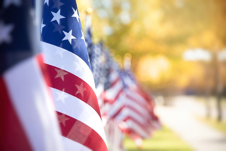 American flags in a row