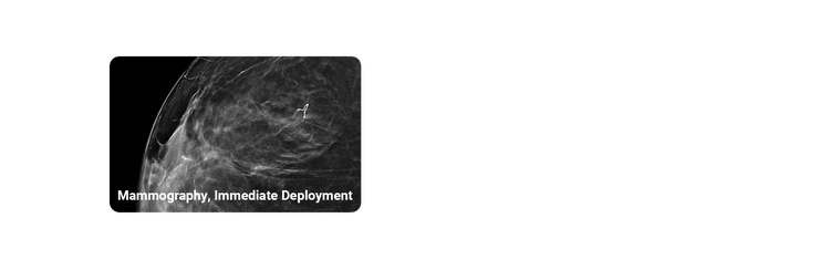 mammography image of Hydromark plus immediately after deployment