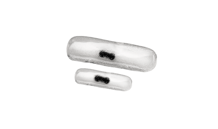 MammoSTAR Biopsy Marker